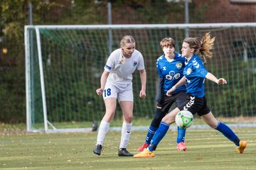 Bild 103 - wBJ Alstertal-Langenhorn - VfL Pinneberg : Ergebnis: 2:3